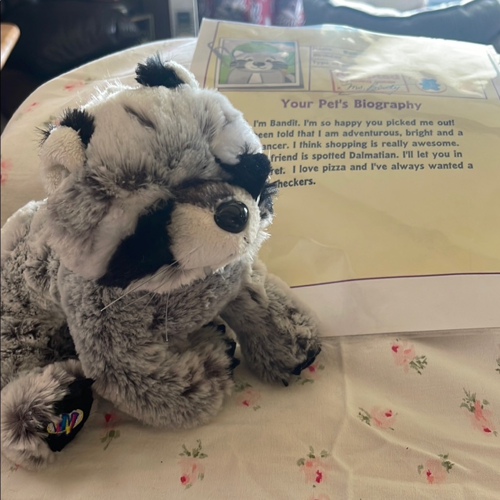 Plush Raccoon Toy - Gray and Black